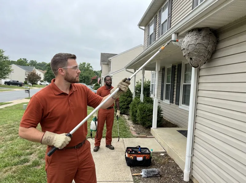 Stinging Insect & Wasp Nest Eradication in Waldorf, MD
